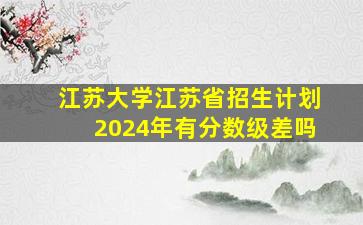 江苏大学江苏省招生计划2024年有分数级差吗