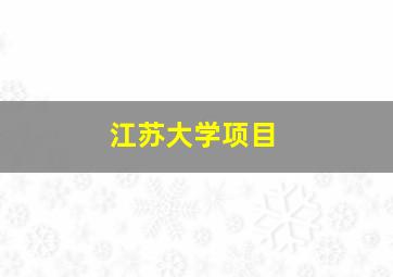 江苏大学项目