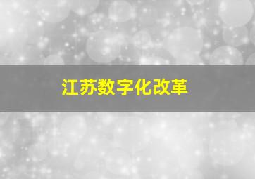 江苏数字化改革