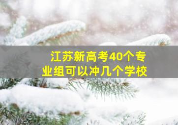 江苏新高考40个专业组可以冲几个学校