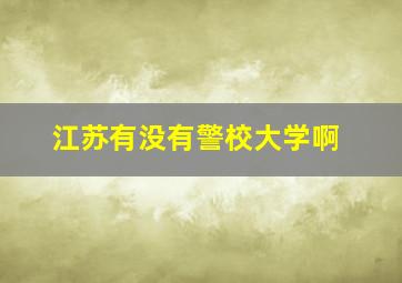 江苏有没有警校大学啊