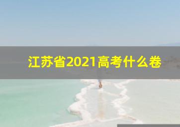 江苏省2021高考什么卷