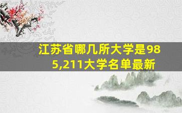 江苏省哪几所大学是985,211大学名单最新