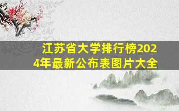 江苏省大学排行榜2024年最新公布表图片大全