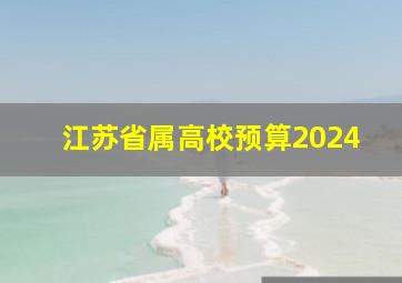 江苏省属高校预算2024