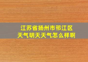 江苏省扬州市邗江区天气明天天气怎么样啊