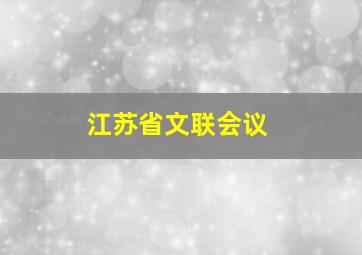 江苏省文联会议