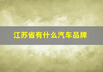 江苏省有什么汽车品牌