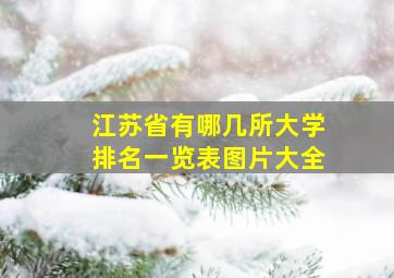 江苏省有哪几所大学排名一览表图片大全