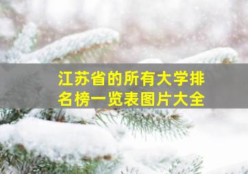 江苏省的所有大学排名榜一览表图片大全