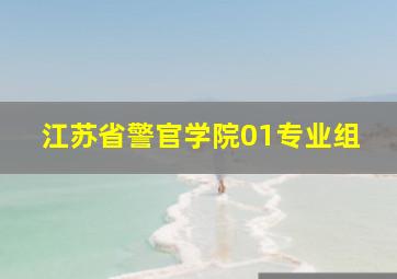 江苏省警官学院01专业组