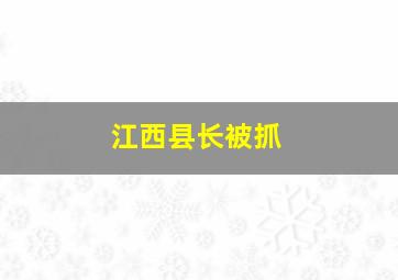 江西县长被抓