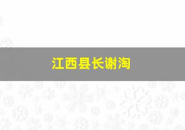 江西县长谢淘