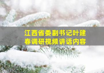 江西省委副书记叶建春调研视频讲话内容