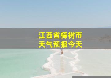 江西省樟树市天气预报今天