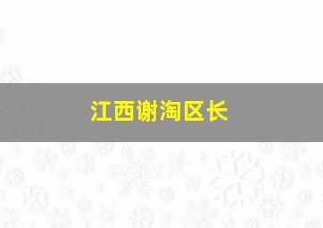 江西谢淘区长