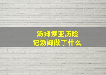 汤姆索亚历险记汤姆做了什么