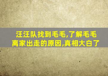 汪汪队找到毛毛,了解毛毛离家出走的原因,真相大白了