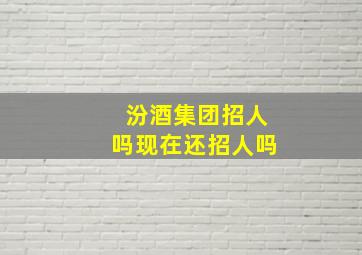 汾酒集团招人吗现在还招人吗