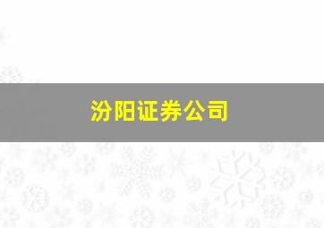 汾阳证券公司