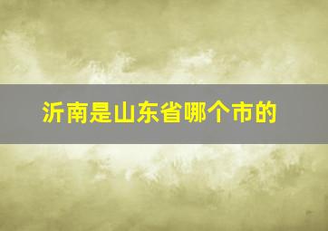 沂南是山东省哪个市的