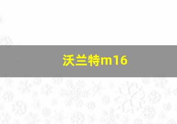 沃兰特m16