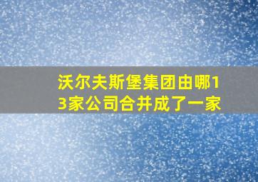 沃尔夫斯堡集团由哪13家公司合并成了一家