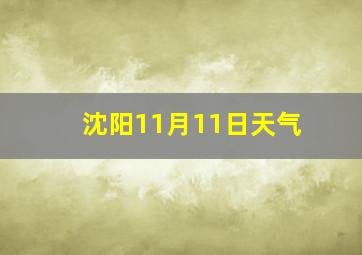 沈阳11月11日天气