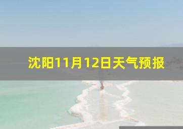 沈阳11月12日天气预报