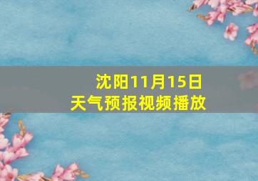 沈阳11月15日天气预报视频播放