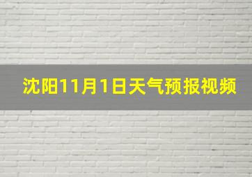 沈阳11月1日天气预报视频