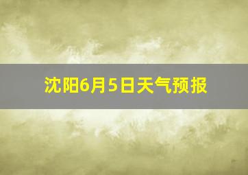 沈阳6月5日天气预报