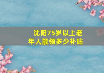 沈阳75岁以上老年人能领多少补贴