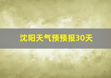 沈阳天气预预报30天