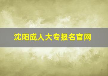 沈阳成人大专报名官网