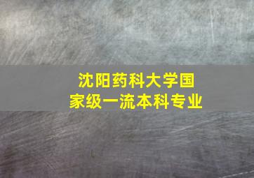 沈阳药科大学国家级一流本科专业