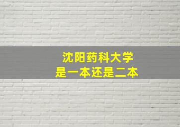 沈阳药科大学是一本还是二本