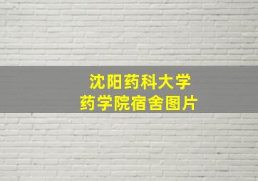 沈阳药科大学药学院宿舍图片