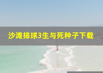 沙滩排球3生与死种子下载