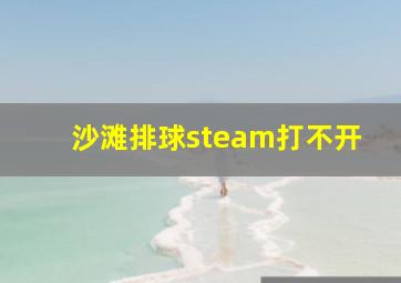 沙滩排球steam打不开