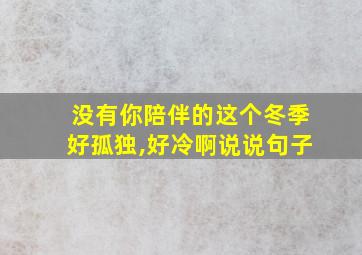 没有你陪伴的这个冬季好孤独,好冷啊说说句子