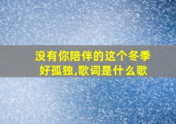 没有你陪伴的这个冬季好孤独,歌词是什么歌