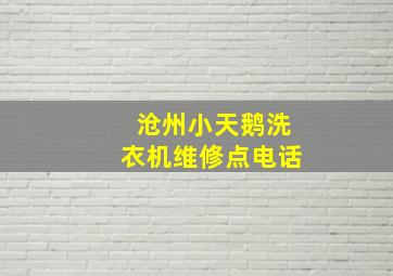 沧州小天鹅洗衣机维修点电话