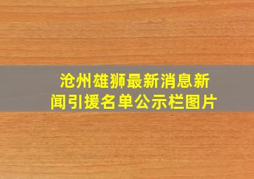 沧州雄狮最新消息新闻引援名单公示栏图片