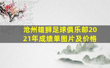 沧州雄狮足球俱乐部2021年成绩单图片及价格