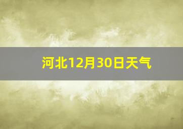 河北12月30日天气