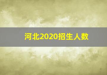 河北2020招生人数