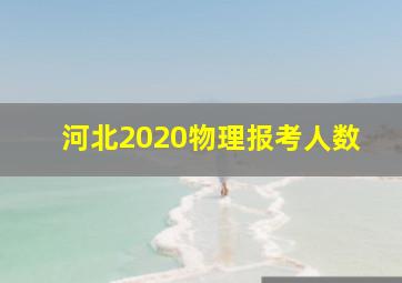 河北2020物理报考人数