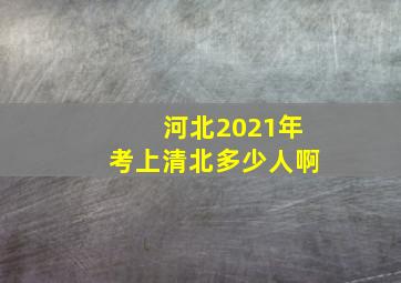 河北2021年考上清北多少人啊