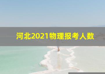 河北2021物理报考人数